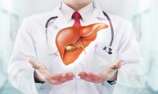 Nutrition for diseases of the liver (hepatitis B and C) and other organs of the gastrointestinal tract