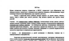 Эссе на тему: «Какой он – современный урок» Эссе на тему: «Какой он – современный урок»