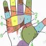 Palmistry - a line of children on the hand and approaches to reading it How to find out how much you will have