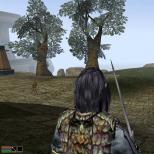 Morrowind용 플러그인: 영원의 반지, 포털 양식 스크롤, 모든 퀘스트 완료(Morrowind, Tribunal, Bloodmoon)