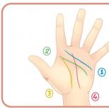 Basics of divination by hand (Palmistry)