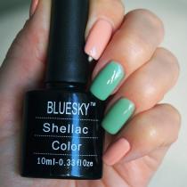 Bluesky gel polish: description of composition, application technology and shade palette